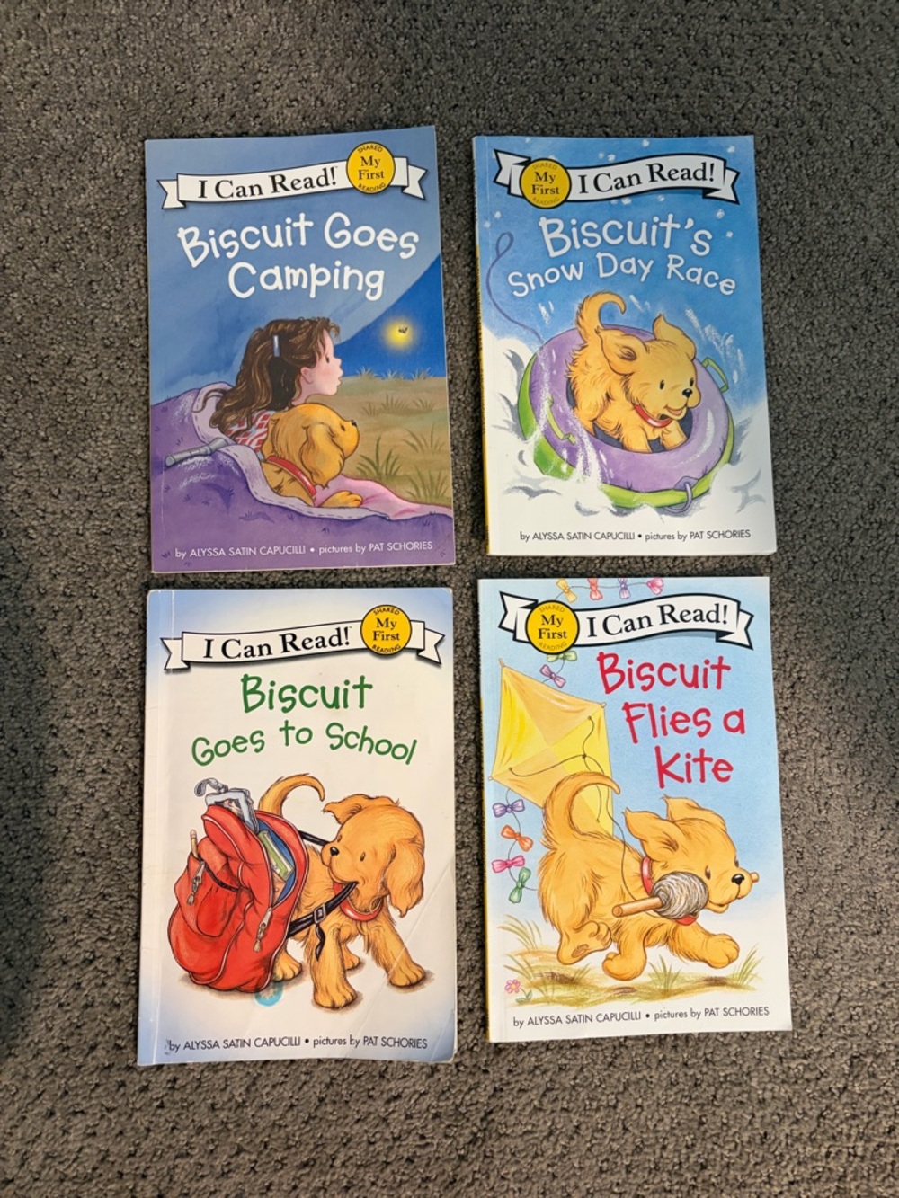 My First Reading Bundle- Biscuit